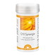 Q10_Synergie_230911_Hauptbild.jpg
